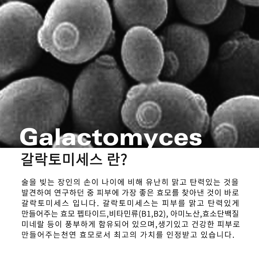 c897980d1b38e0dfe0fd95210a8822d3_1782979513_9.png c897980d1b38e0dfe0fd95210a8822d3_1782979513_9.png